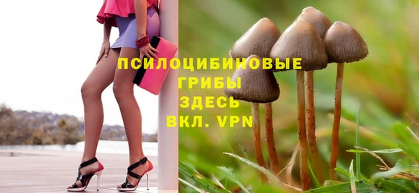 бошки Абаза