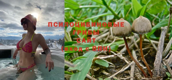 бошки Абаза