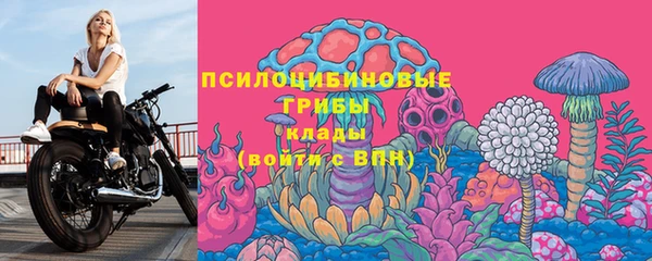 тгк Алексеевка