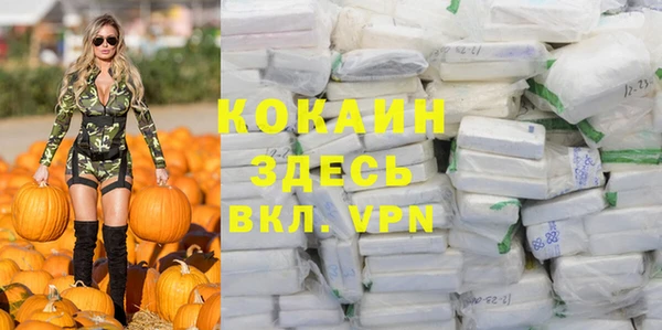шишки Абинск