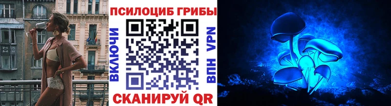 Псилоцибиновые грибы Psilocybine cubensis  купить наркоту  Анадырь 